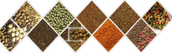 Fish feed pellets Fish feed pellets