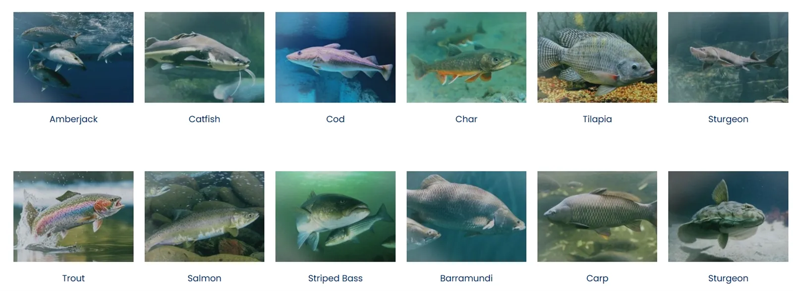 20260213151833 20260213151833